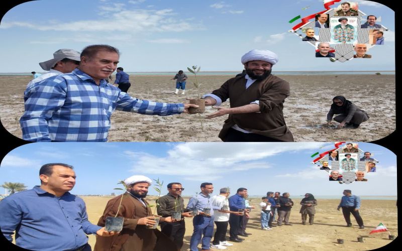 گرامیداشت یاد شهداء در قالب پویش ملی «سرو ایران» در ساحل بوشهر