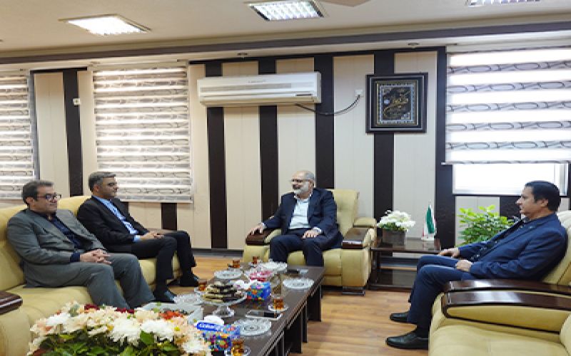رئیس دانشگاه علوم پزشکی بوشهر در دیدار با بازرس کل استان گفت: نظام ارجاع موجب کاهش مراجعه غیرضروری به بیمارستان‌ها، مراکز درمانی و توزیع عادلانه خدمات می‌شود.