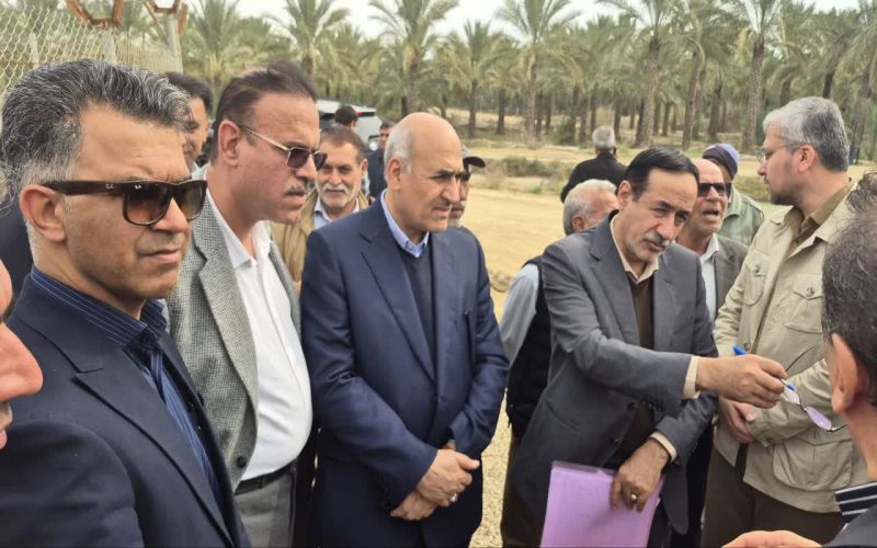 معاون وزیرجهاد: شبکه آبیاری دشتستان اولویتدارترین پروژه آب و خاک کشور