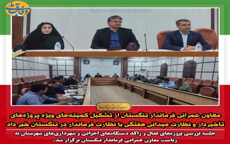 معاون عمرانی فرماندار تنگستان از تشکیل کمیتههای ویژه پروژههای تأخیردار و نظارت میدانی هفتگی با نظارت فرماندار در تنگستان خبر داد