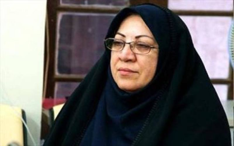 حمایت دکتر حمیده ماحوزی (مدیرکل اسبق فرهنگ و ارشاد اسلامی بوشهر)، از  نهاد فرهنگ و هنر و سرپرست کنونی اداره کل ارشاد استان بوشهر در پی تعرض عده ای به این نهاد