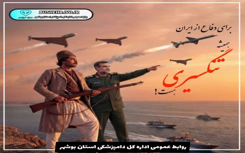 شهادت سردار علیرضا تنگسیری تایید شد
